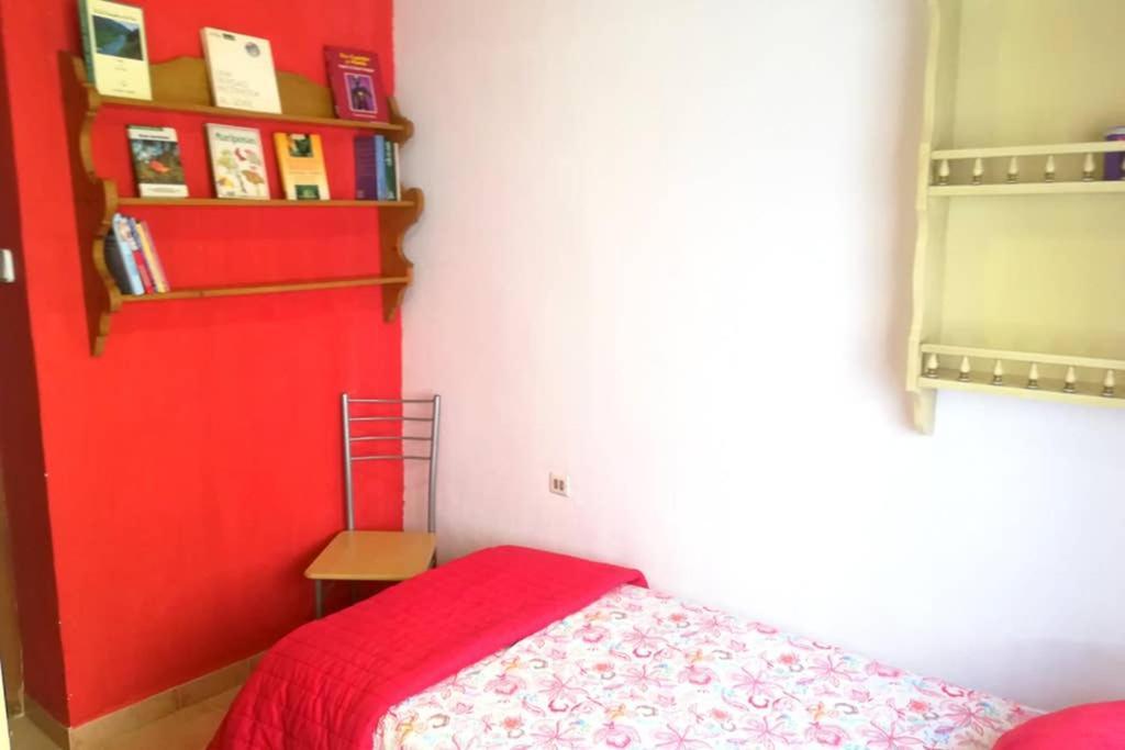 Bonito Apartamento Centro Onil 外观 照片