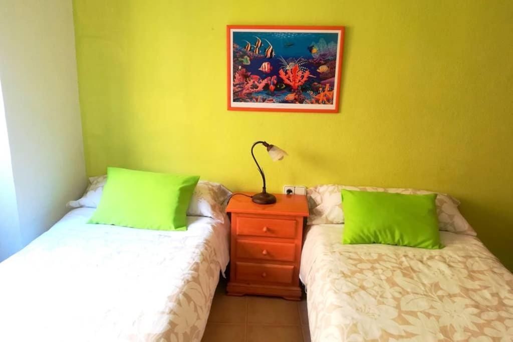 Bonito Apartamento Centro Onil 外观 照片