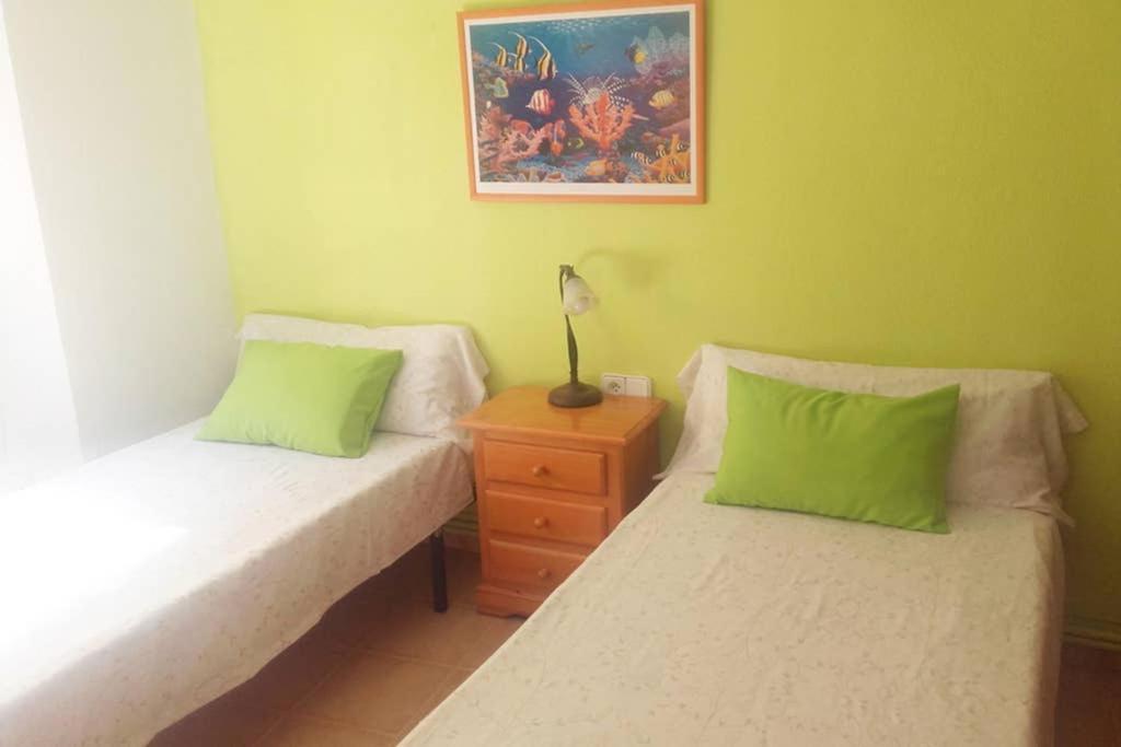 Bonito Apartamento Centro Onil 外观 照片