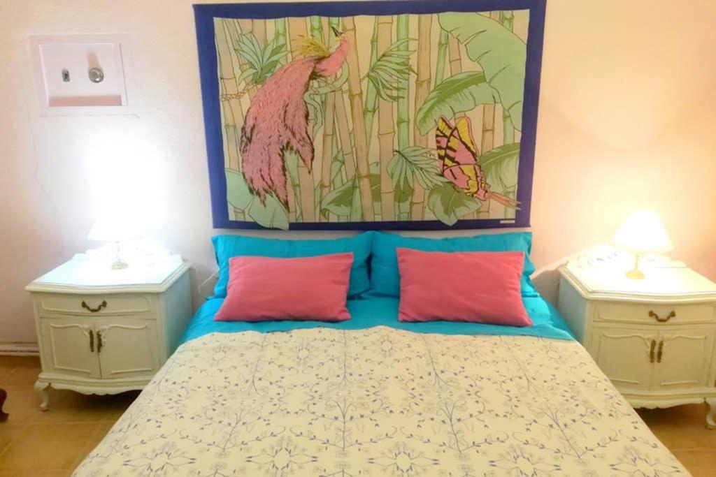 Bonito Apartamento Centro Onil 外观 照片