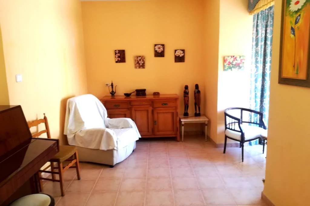 Bonito Apartamento Centro Onil 外观 照片